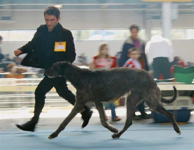 Drazen and Hamsun winning  BIG 3 in Zagreb 04.03.2007